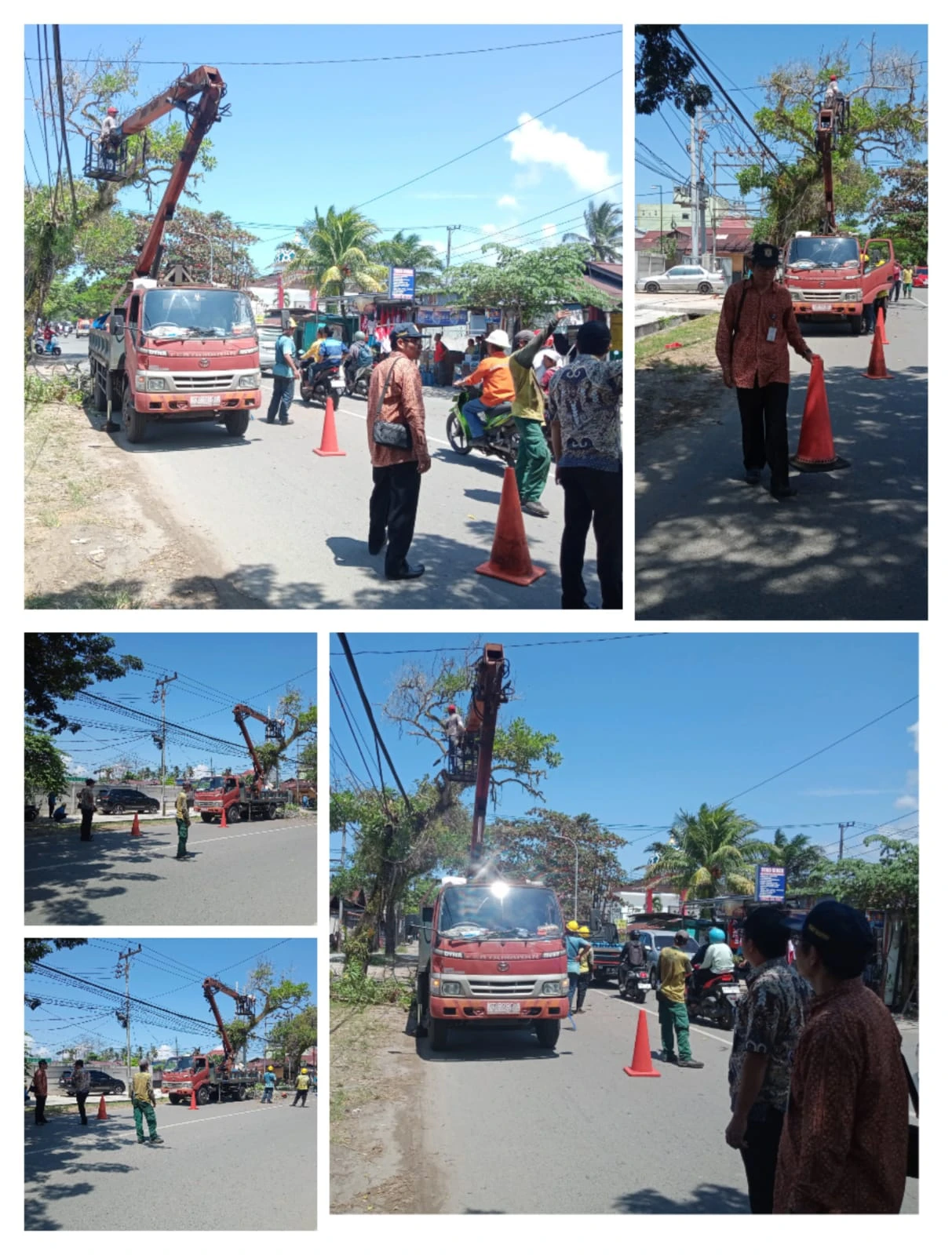 Pemangkasan Pohon di depan PT Tata Wisata